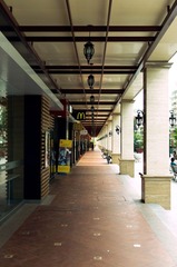 IMGP0994k.jpg