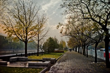 L1050694.jpg