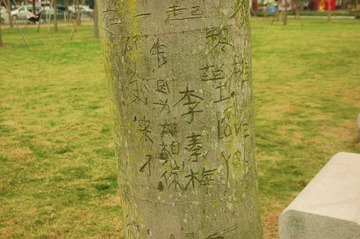 DSC_2972.JPG