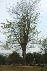 DSC_3002.JPG