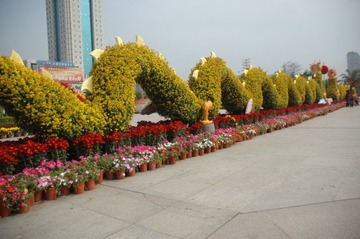 DSC_3011.JPG
