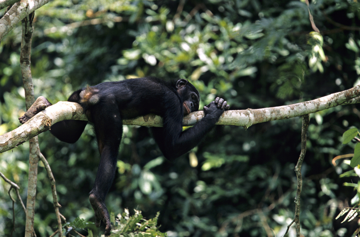 夕阳里的校园 - diverse - 图虫