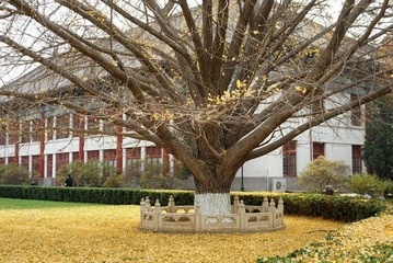 nEO_IMG_DSC03040.jpg