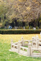nEO_IMG_DSC03046.jpg
