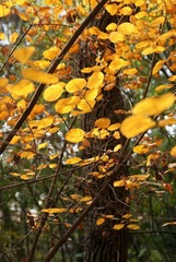 nEO_IMG_DSC03110.jpg