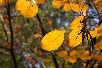 nEO_IMG_DSC03111.jpg