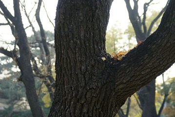 nEO_IMG_DSC03124.jpg
