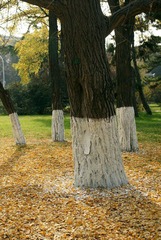 nEO_IMG_DSC03146.jpg