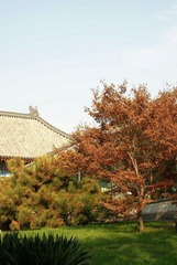 nEO_IMG_DSC03167.jpg