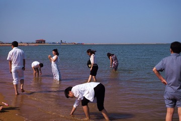 L1004482 - 