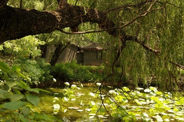 假陶居