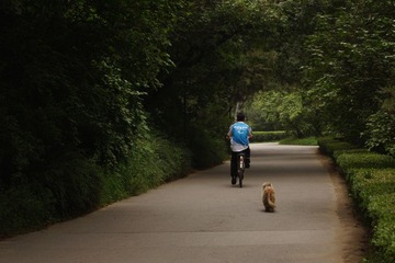 校园路上