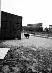 nEO_IMG_DSC00807.jpg