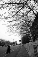 nEO_IMG_DSC00809.jpg