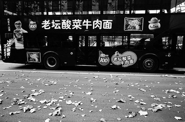 nEO_IMG_DSC00813.jpg