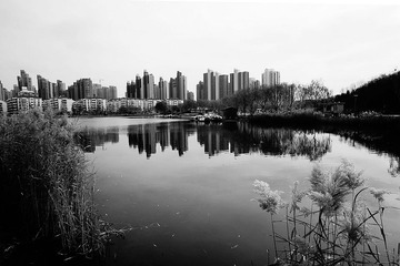 nEO_IMG_DSC00840.jpg