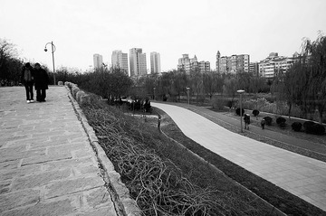 nEO_IMG_DSC00848.jpg