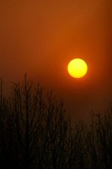 夕阳1