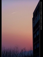 100_1205