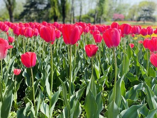 B814488B-B391-4939-BDB9-AE800785307D/L0/001