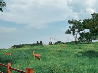 F0272AF9-5D0D-4E23-B192-9EFE3DEDEA09/L0/001