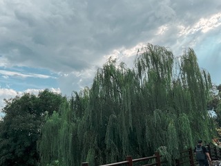 6317D413-58F1-486A-A668-9D4A024FF387/L0/001