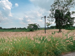 A095F98B-D2E6-4277-8ABD-1E0B634876B7/L0/001