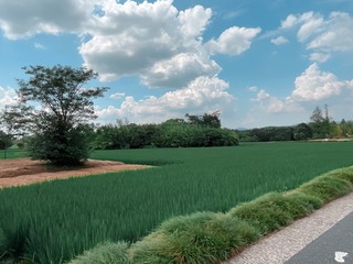 36C1DB5C-170D-4DE8-A8FF-E6EA7E2F8A2B/L0/001