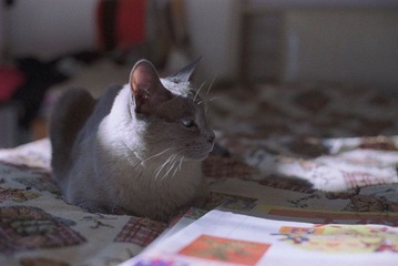 2463687_780972924_rotate.jpg