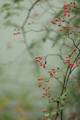 IMG_0400.JPG