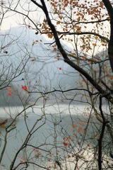 IMG_0409.JPG