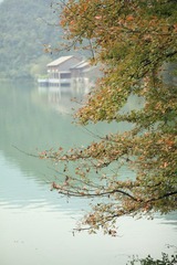 IMG_0410.JPG