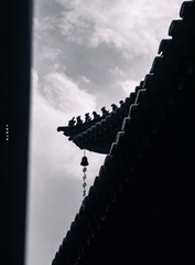 1000015672