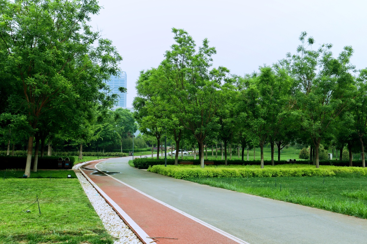 阴天的中心湖公园别有一番风味中心湖公园位于正定较于老公园人少水清