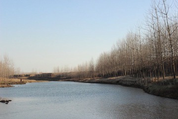 IMG_0064.JPG