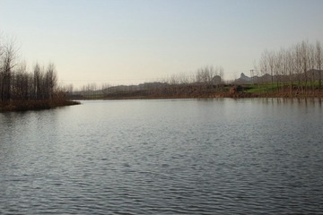 IMG_0069.JPG