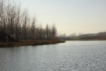 IMG_0075.JPG