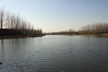 IMG_0076.JPG