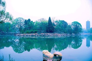 石鱼与未名