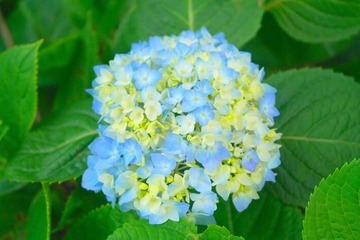 1E2FEAA9-6AB6-4E67-8DC7-E48951BC97AB/L0/001