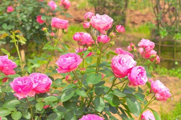 F413E3F3-F0D7-4DEF-9ED1-6B83AC008B0E/L0/001