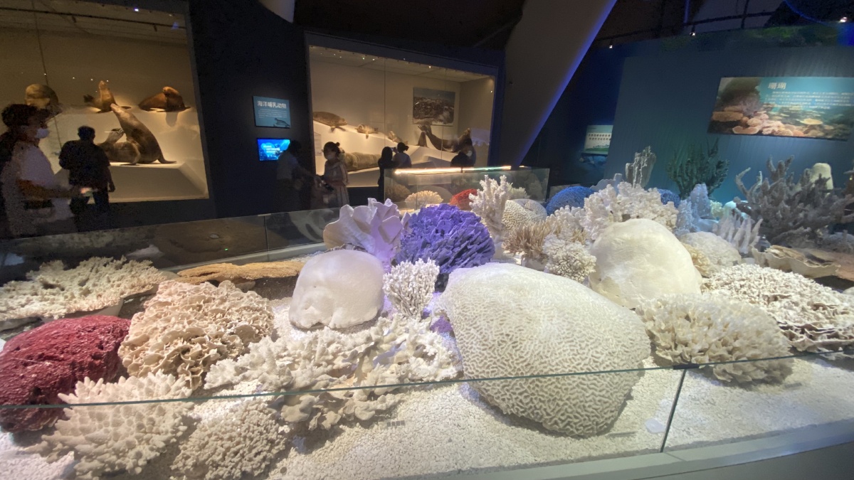 国家海洋博物馆