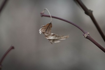 20120218-IMG_5321.JPG