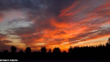 IMG_2923.jpg