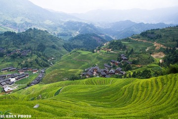 IMG_2495小.jpg