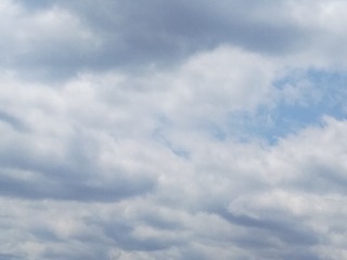 1774022