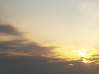 1774061