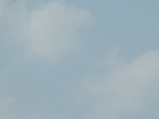 1774157