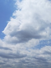 1774020