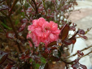 DSCN1159.JPG
